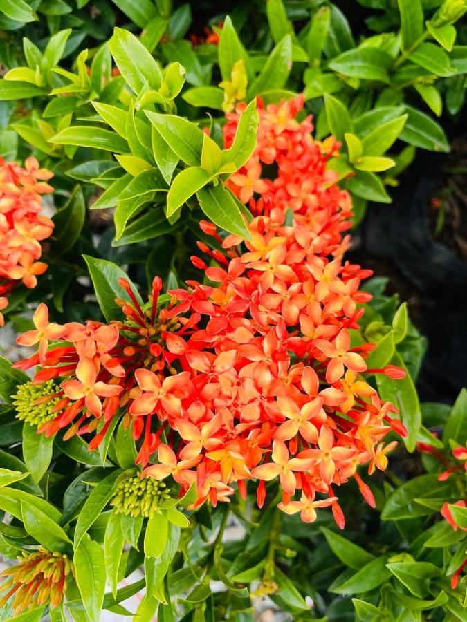 Jardin De Primavera Apartamentos 외부 사진